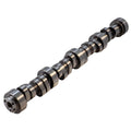 GM LS Hyd Roller Cam .625/.610 239/237 @ .050 - 22503